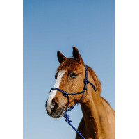 Knotenhalfter + Führstrick Norton Duo Blau / Schwarz Knotenhalfter + Führstrick Norton Duo Blau / Schwarz