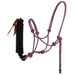 Knotenhalfter + Führstrick Norton Duo Rosa / Schwarz