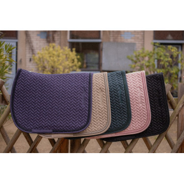 Satteldecke Paddock Poppy