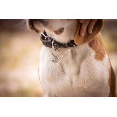 Halsband für Hunde Penelope Billie Halsband für Hunde Penelope Billie