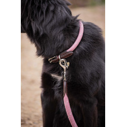 Halsband für Hunde Penelope Billie Rose / Lurex Rosa