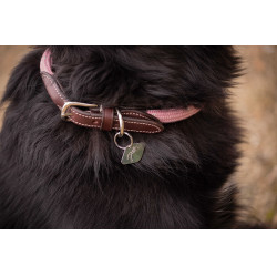 Halsband für Hunde Penelope Billie Rose / Lurex Rosa