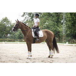 Abnehmbarer Besatz für Lami-Cell Glitter Helm Schwarz