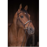 Trensenzaum Pénélope Symphonie Havanna Braun