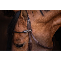 Trensenzaum Pénélope Symphonie Havanna Braun