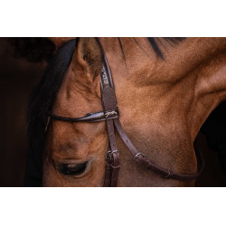 Trensenzaum Pénélope Symphonie Havanna Braun