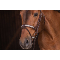 Trensenzaum Pénélope Symphonie Havanna Braun