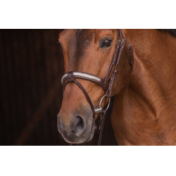 Trensenzaum Pénélope Symphonie Havanna Braun