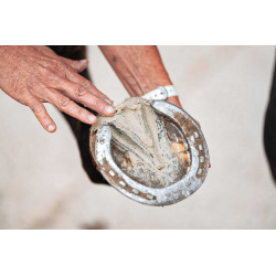 Tonerde für Hufe Ravene Pediplast