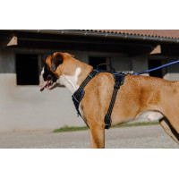 Hundegeschirr Riding World Simba Marine Marineblau