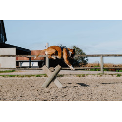 Hundegeschirr Riding World Simba Marine Marineblau