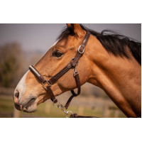 Halfter Pénélope Harmonie Braun