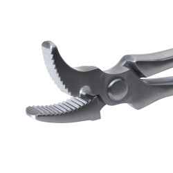 Nietzange Michel Vaillant