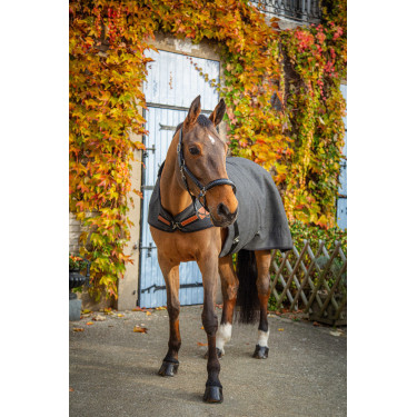 Walker-Decke Wooltouch Paddock Sports Walker-Decke Wooltouch Paddock Sports