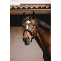 Nylonhalfter Equithème Jacquard Schwarz Nylonhalfter Equithème Jacquard Schwarz