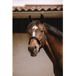 Nylonhalfter Equithème Jacquard Schwarz