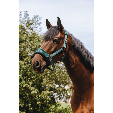 Nylonhalfter Equithème 3D Mesh Grün Gr&amp;amp;amp;amp;amp;amp;amp;amp;uuml;n