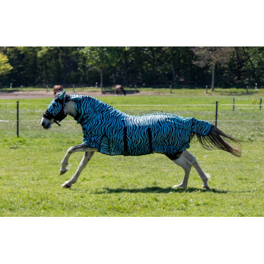 Fliegendecke Zebra Aqua HKM Aqua / Schwarz