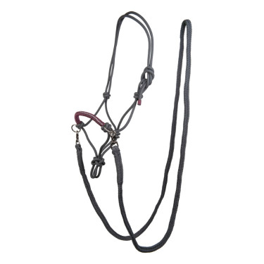 Ethologisches Strass-Halfter mit Zügeln / Stricken HKM Grau / Traube Ethologisches Strass-Halfter mit Zügeln / Stricken HKM Grau / Traube