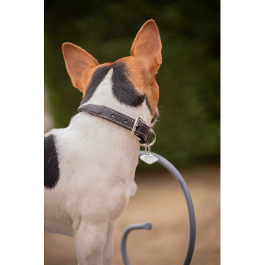 Hundehalsband Pénélope Olie Havanna Braun