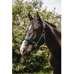 Nylonhalfter Equithème Protector Grün Grün Nylonhalfter Equithème Protector Grün Grün