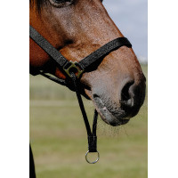 Erzieherisches Norton-Halfter Schwarz