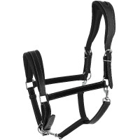 Ardenner Halfter Norton Schwarz Ardenner Halfter Norton Schwarz