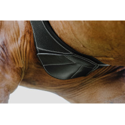 Anatomischer Gurt Magnet Norton Schwarz Anatomischer Gurt Magnet Norton Schwarz