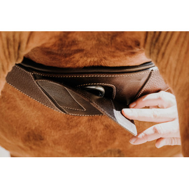 Anatomischer Gurt Magnet Norton Havanna Braun Anatomischer Gurt Magnet Norton Havanna Braun