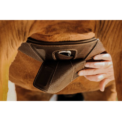 Anatomischer Gurt Magnet Norton Havanna Braun Anatomischer Gurt Magnet Norton Havanna Braun