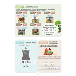 Mein Aktivitätsheft Niveau CM2 Lavauzelle