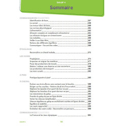 Galopp 1 bis 4 mit Lavauzelle-Videos