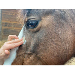 Crème Animaderm Derfen™ Clear Crème Animaderm Derfen™ Clear