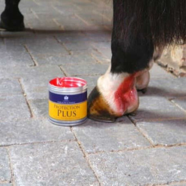 Schutzcreme Carr & Day & Martin Protection Plus