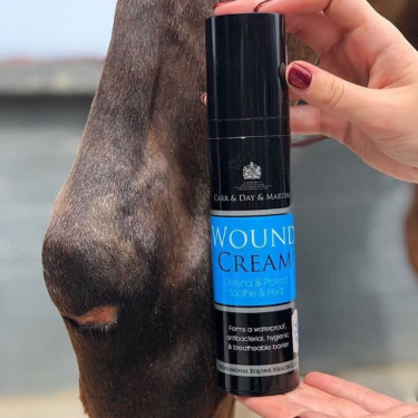 Creme calmante Carr & Day & Martin Wound Cream Creme calmante Carr & Day & Martin Wound Cream