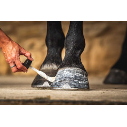 Öl für Hufe Carr & Day & Martin Daily Hoof Moisturiser Cornucrescine