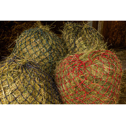 Heunetz Hippotonic Zari