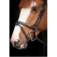 Birdon Oxford Performance Pénélope Schwarz Birdon Oxford Performance Pénélope Schwarz