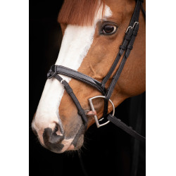 Birdon Oxford Performance Pénélope Schwarz