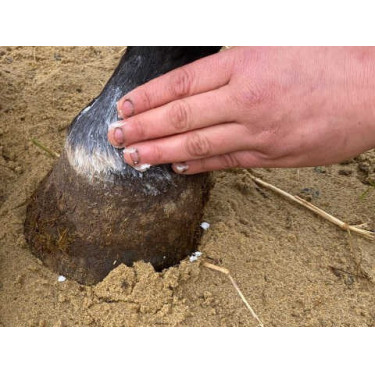 Balsam Animaderm Natjely