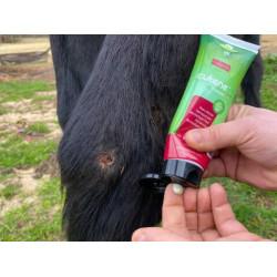 Regenerierend Animaderm Cutene