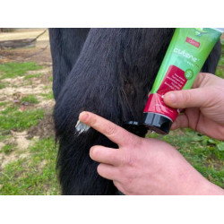 Regenerierend Animaderm Cutene