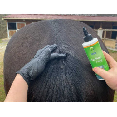 Animaderm Original Lotion Animaderm Original Lotion