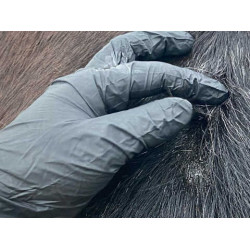 Animaderm Original Lotion Animaderm Original Lotion