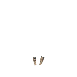 LeMieux Fluffy Character Socken Traum Beige LeMieux Fluffy Character Socken Traum Beige