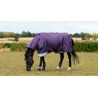 Wasserdichte Decke LeMieux Arika Ripstop 200g Wacholder Lila