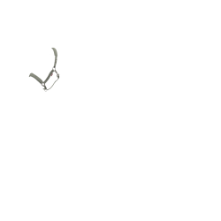 Licol LeMieux Essence Rosmarin Gr&uuml;n