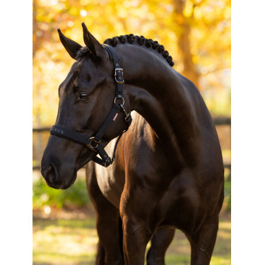 Licol LeMieux Essence Schwarz