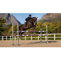 Tapis Eurojump LeMieux Essence Square Marine Marineblau