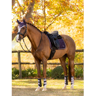 LeMieux Merino Loire Classic Dressur Schabracke LeMieux Merino Loire Classic Dressur Schabracke